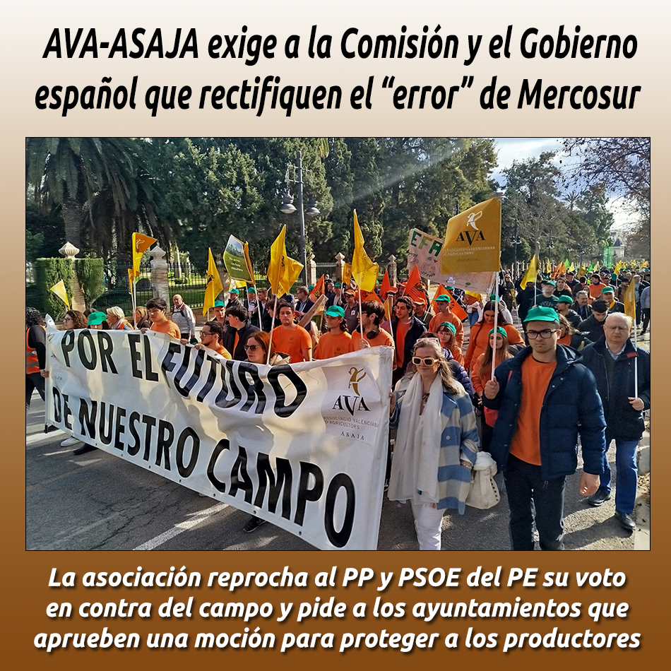 AVA-ASAJA exige a la Comisión y el Gobierno español que rectifiquen el “error” de Mercosur 